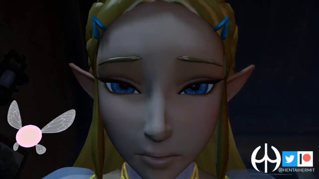 Princess Zelda riding POV