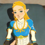 Fucking and cumming in Princess Zelda