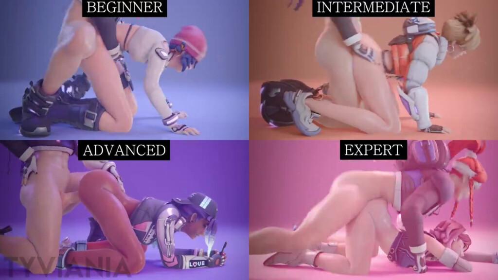 From Beginner to Expert