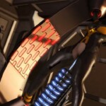 Raven enjoys watching Tachy