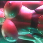 Meredith hand holding backshots