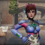 D.va picked the best option